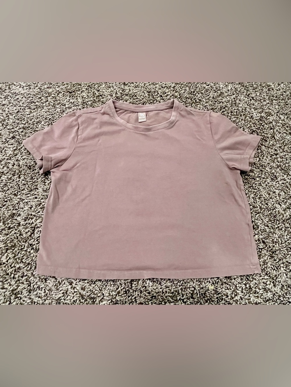 Dazy-Less Cropped Short Sleeve T-Shirt Women's Large Light Brown Cute